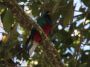 CostaRica06 - 032